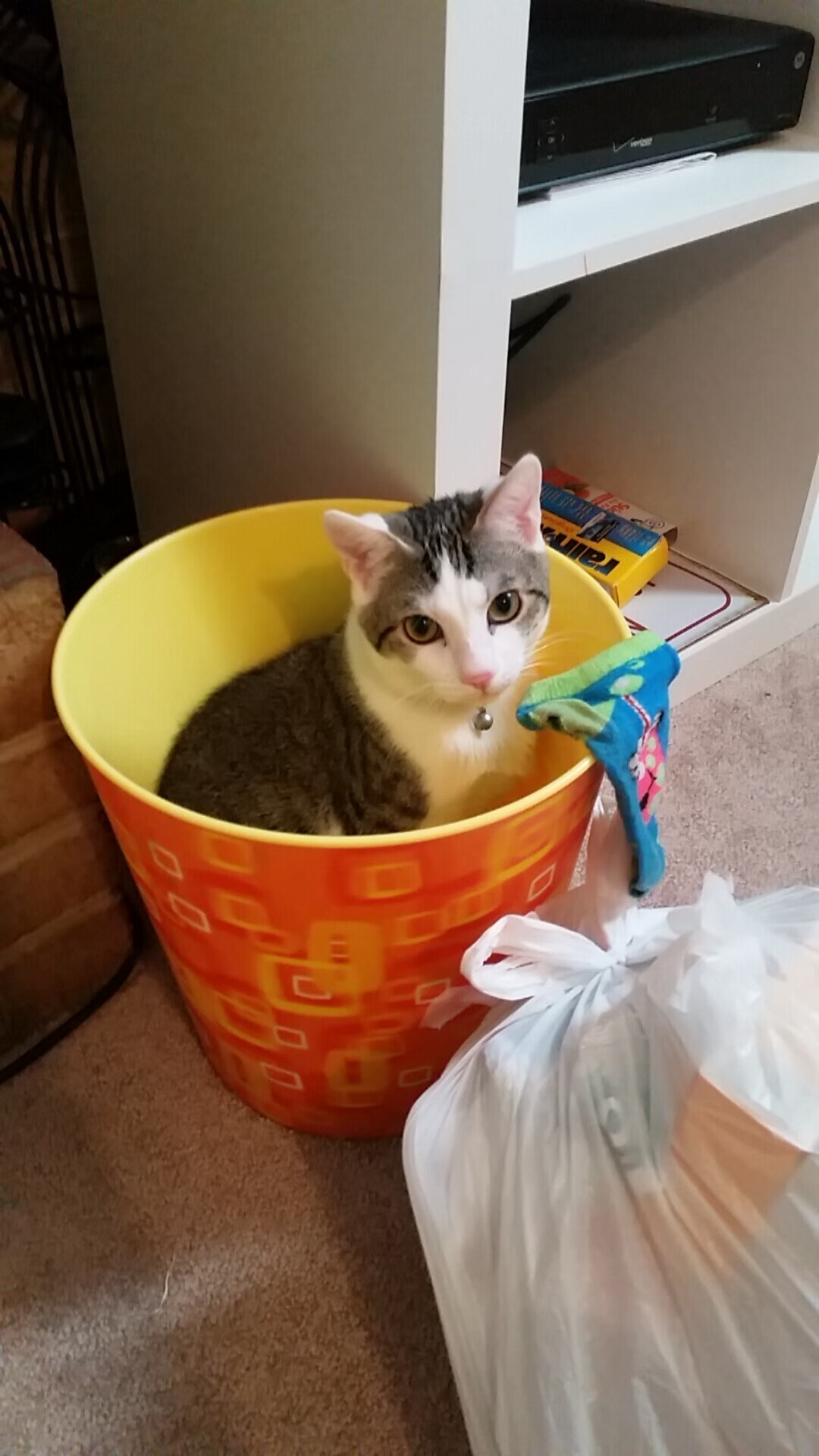 FBSPORTS-“联赛积分榜大洗牌，谁能挺进季后赛？最新动态速递”，联赛积分规则