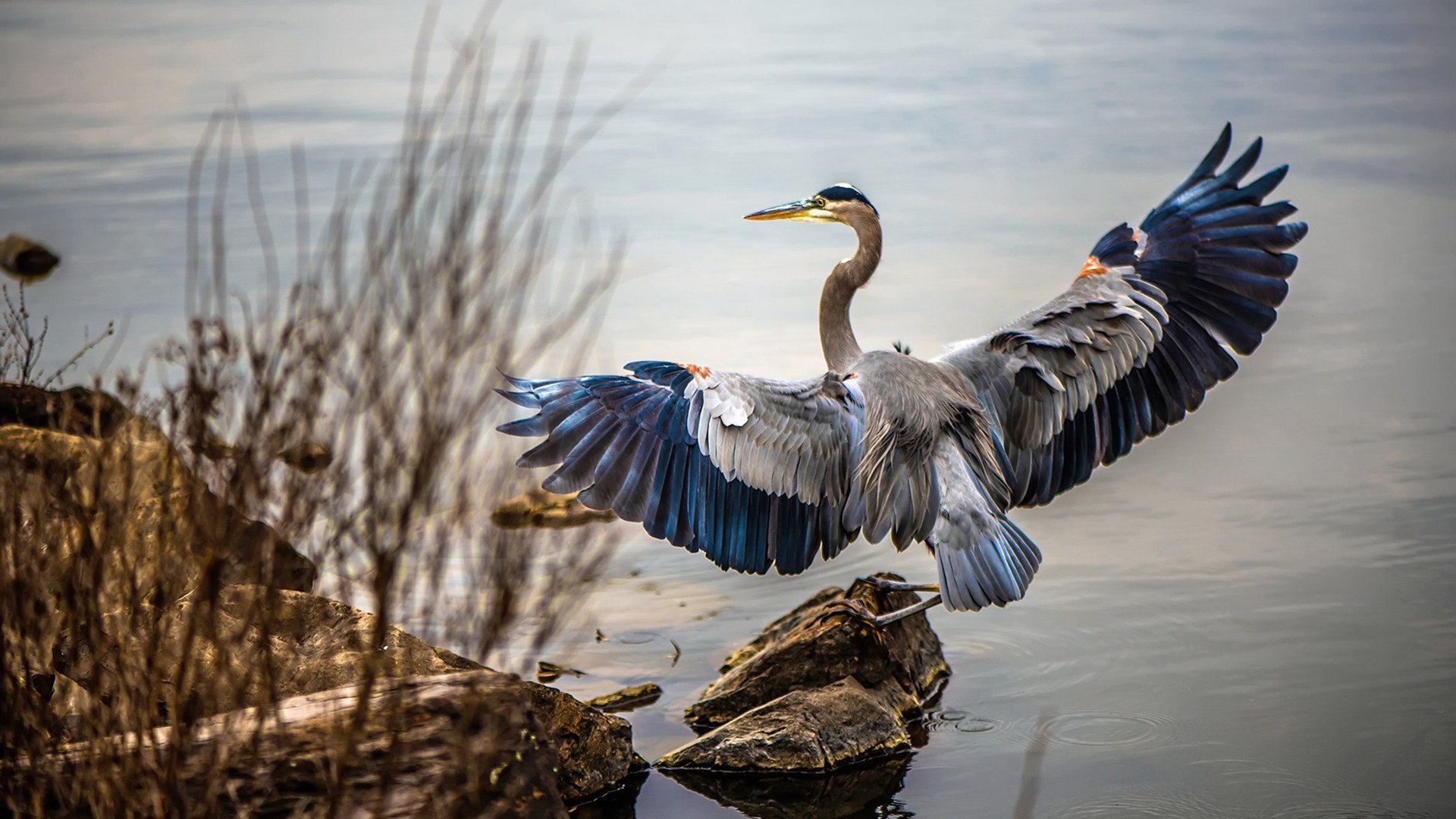 大型海滩冲浪比赛，浪花中的青春激情，冲浪比赛项目