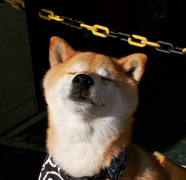 法甲：达拉斯单车队3-0完胜斯特拉斯堡，态势逐步稳定，达拉斯fc