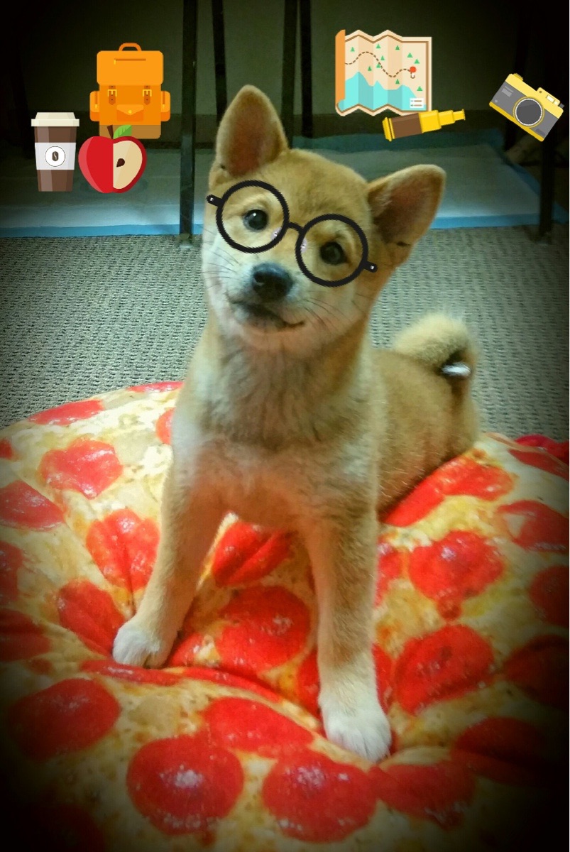 FB体育-疯狂弯道：WRC最刺激的弯角盘点