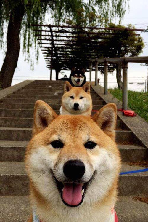 fb体育全站-EDG举办电竞选手身体素质提升培训，edg 训练赛