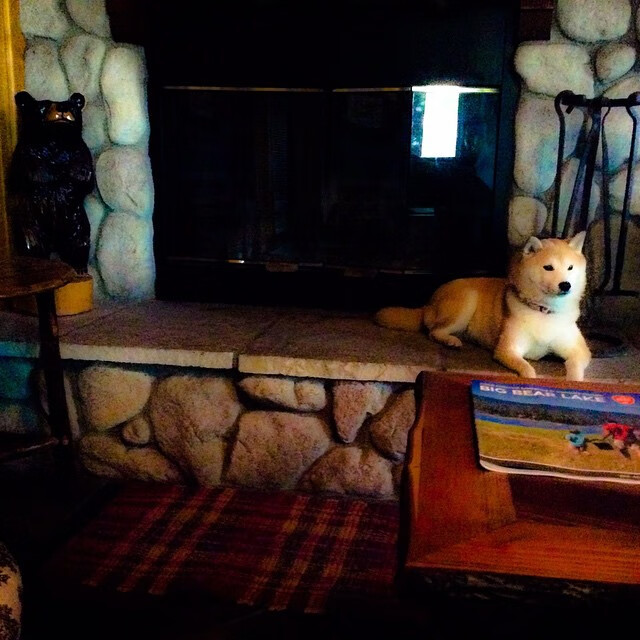 NBA电竞战队斩获Twitch年度人气奖，nba的电竞战队