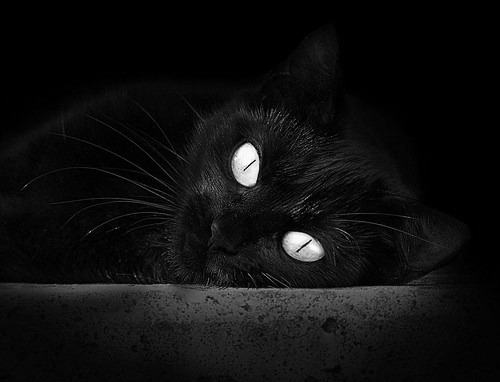 凯撒酋长球员伤愈复出,助力球队冲击冠军,足坛 凯撒