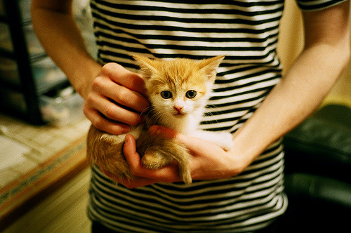 台北球队再战落败，追赶势头受阻，台北队属于中国吗