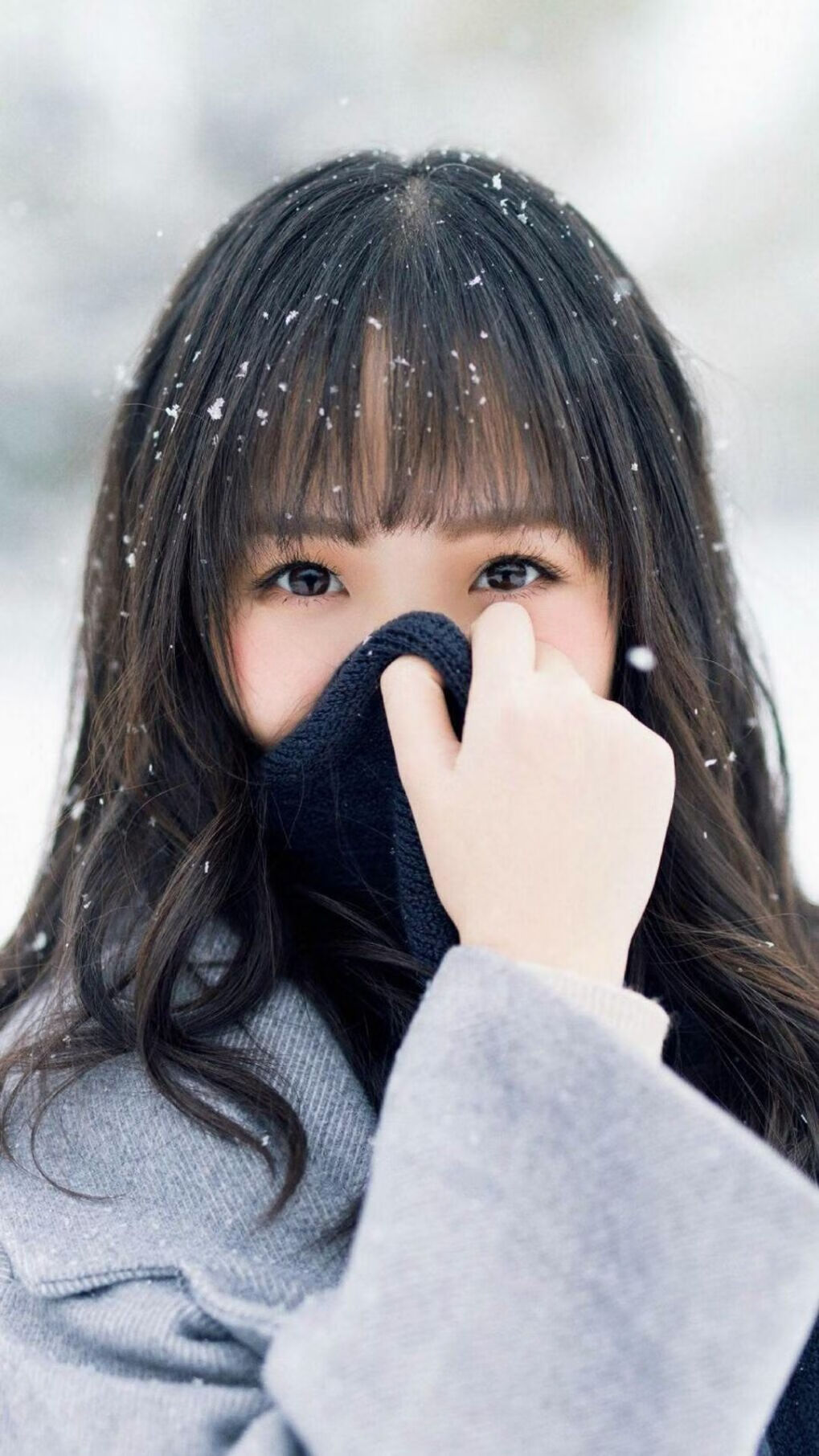 fb体育app官网-印度队鼓足干劲，勿忘拼搏初心，印度队徽