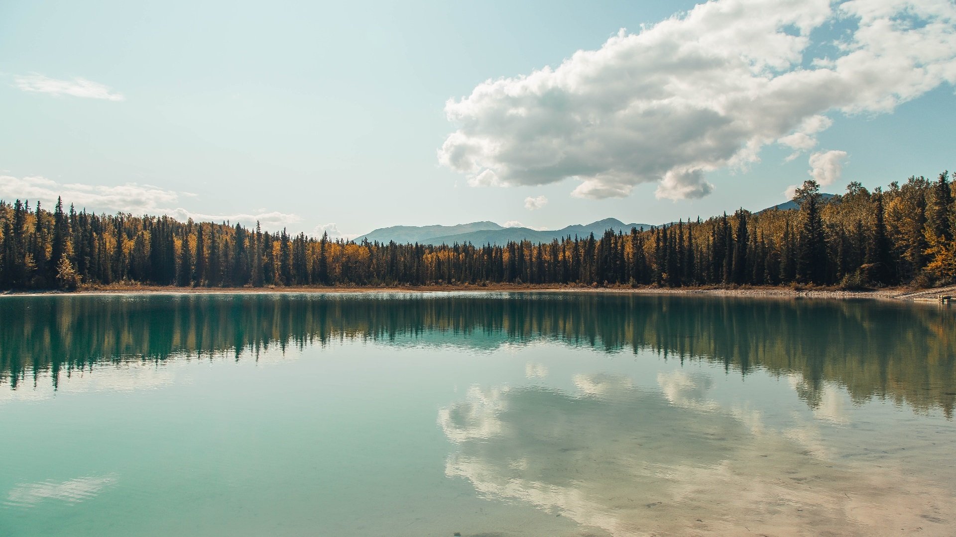 国际足坛中国力量崭露头角 成绩靓丽引全球瞩目，国际足坛最新排名