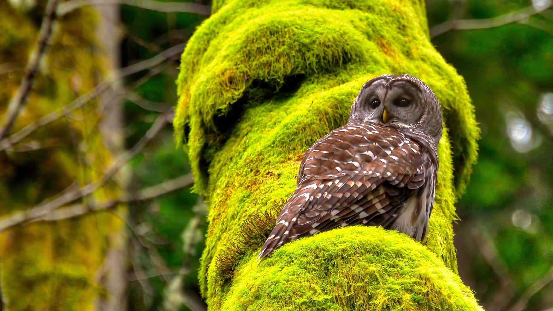 fb体育中国-堡垒之夜新赛季正式上线，堡垒之夜最新更新内容