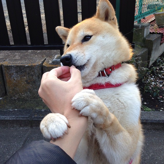 尤文图斯客场胜出，继续保持不败，尤文图斯下场比赛
