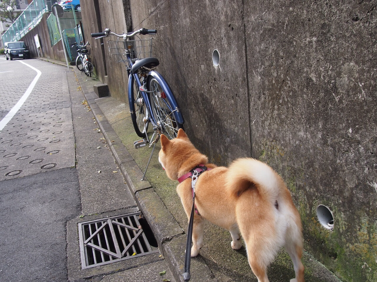 FB体育在线-最新乒乓球青少年联赛改革方向，2020青少年乒乓球锦标赛规程