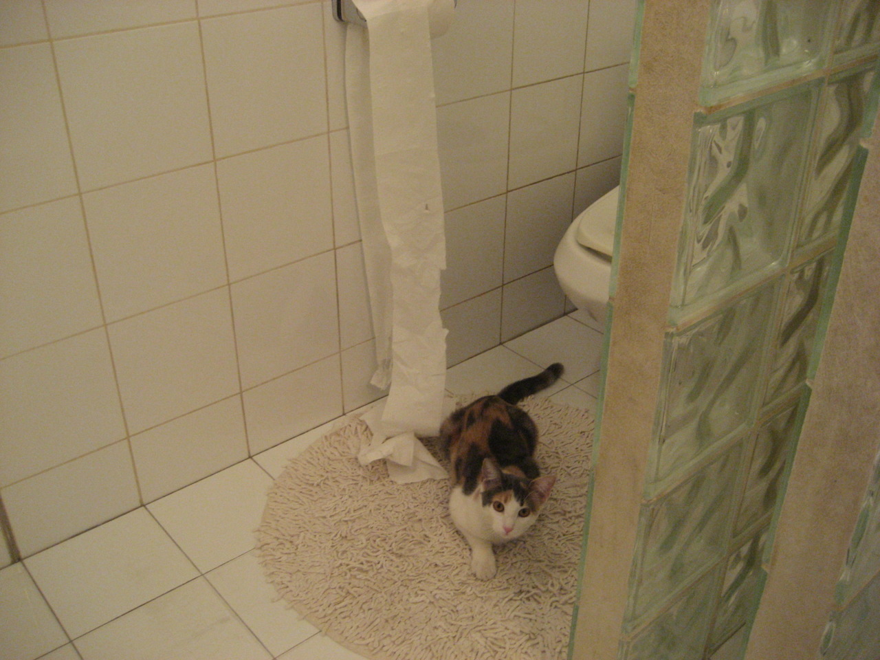 全国业余羽毛球赛参赛人数创新高，全国业余羽毛球比赛