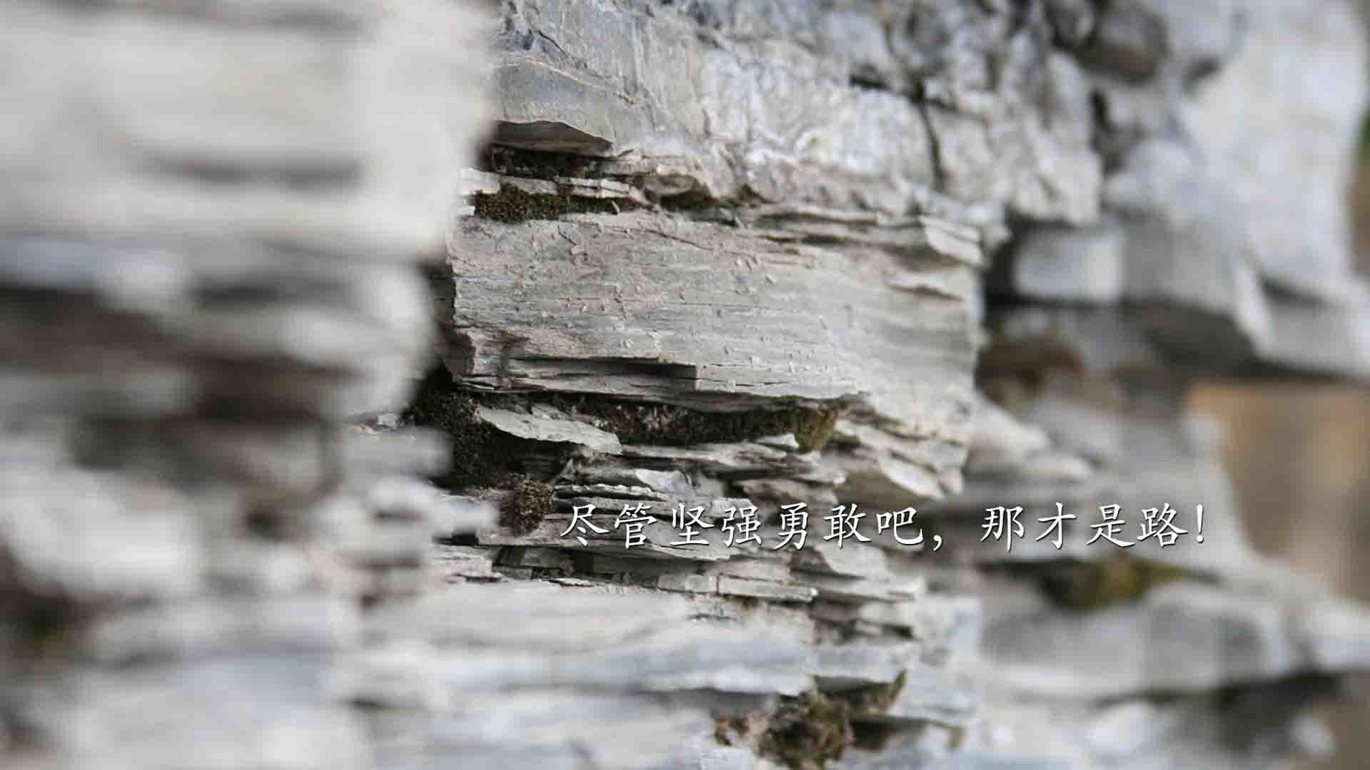 FB体育登录入口-中国三人篮球女队完善整体进攻链条，中国三人篮球女队成绩