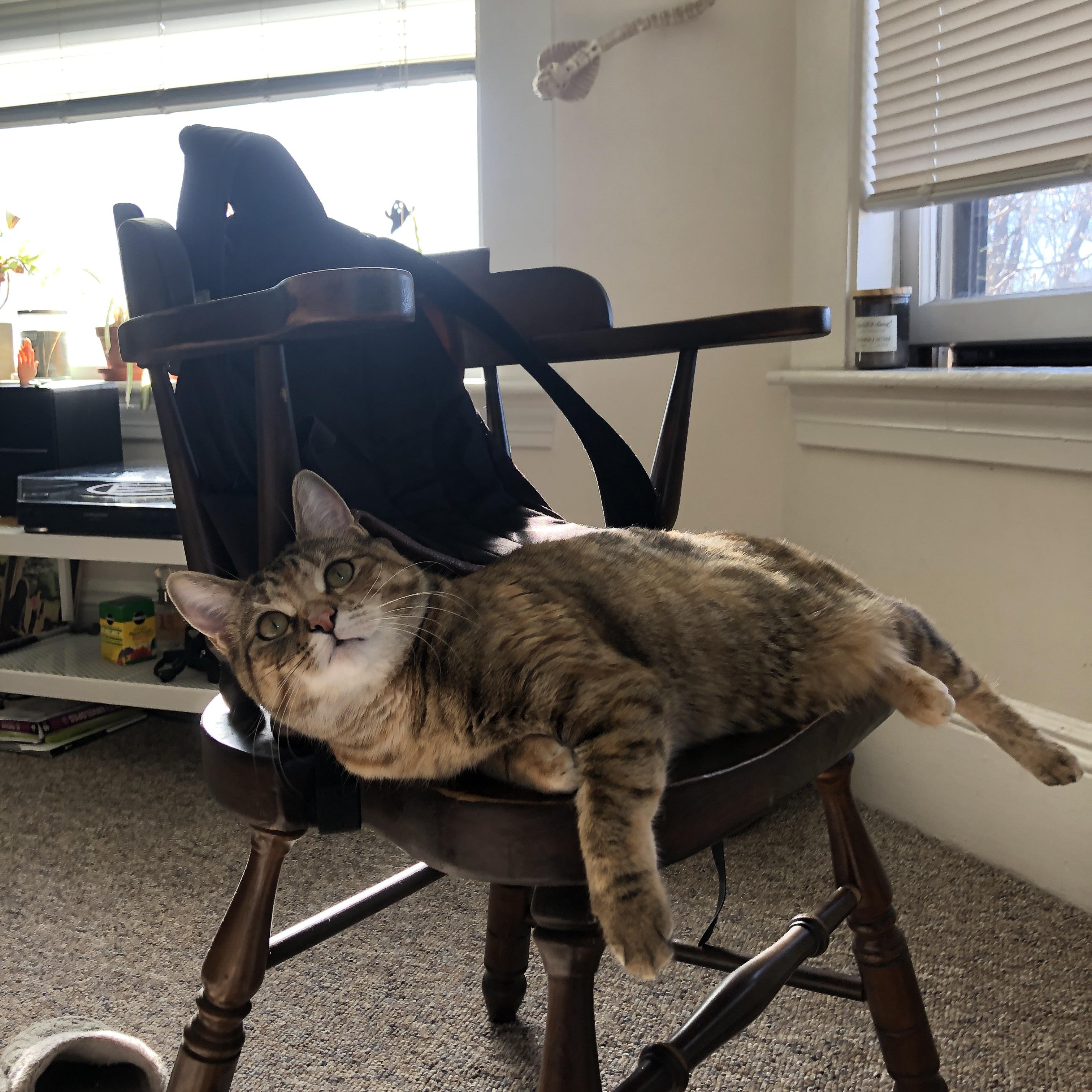 fb体育全站-体育新闻中心联合高校研究体育内容用户行为，学校体育研究热点