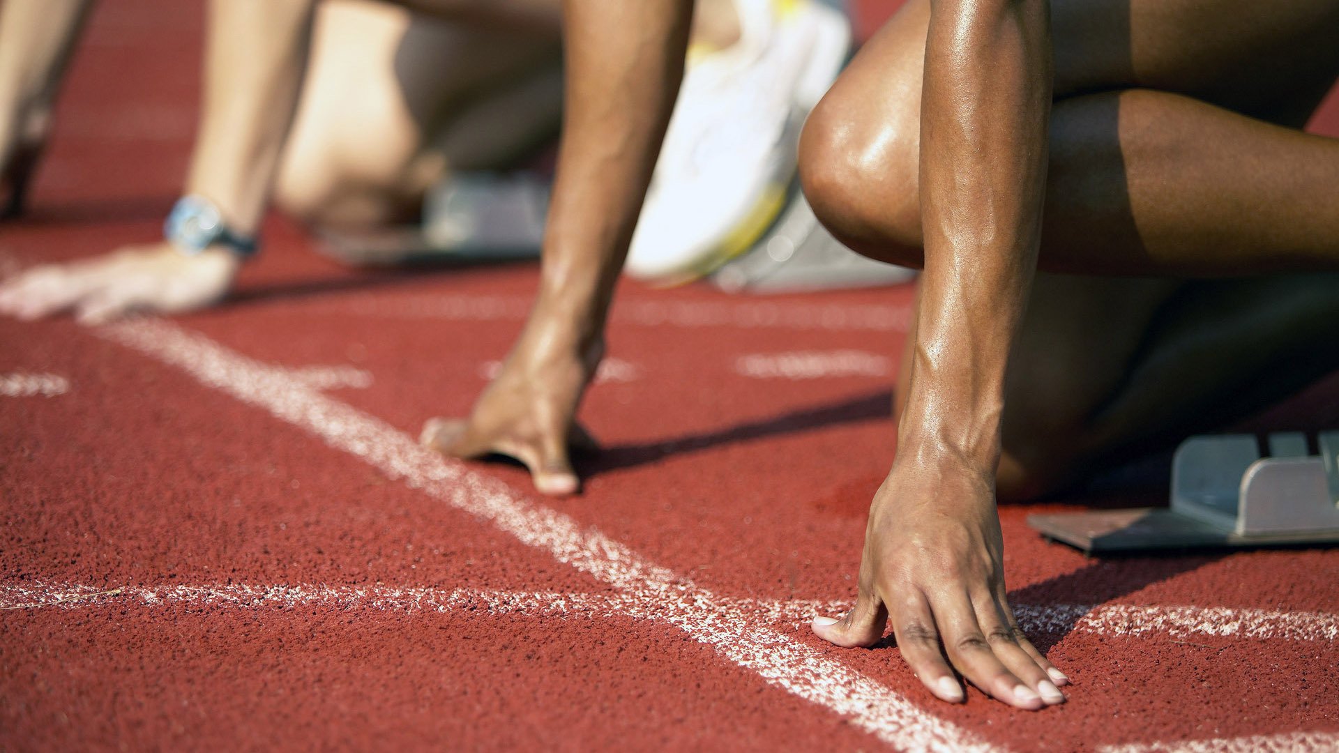 美国马术协会开展马匹福利宣传活动,提升公众意识。,美国马术运动员